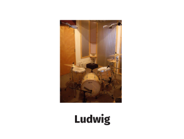 ludwig